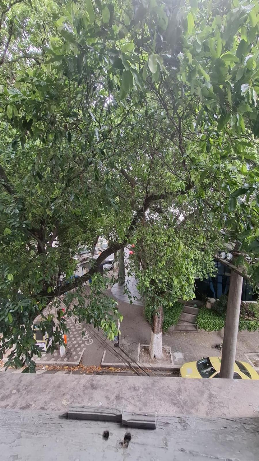 Hospedagem domiciliar Casa Caminhos De Uba Rio de Janeiro